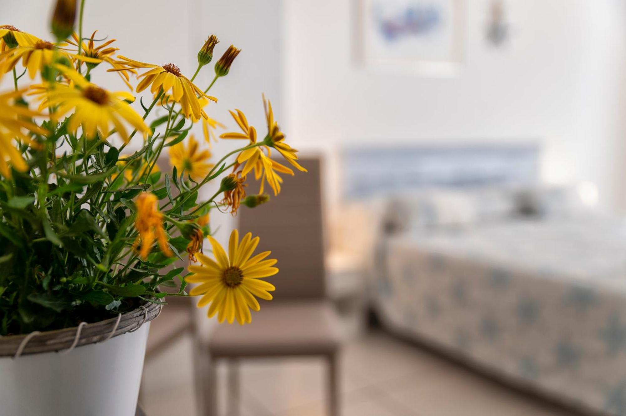 Horizon Bed & Breakfast อาลเกโร ภายนอก รูปภาพ